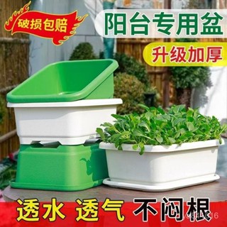 ✨廠商直髮✨ 新款特大陽臺種菜盆自吸水家用種菜專用盆長方形塑膠蔬菜種植花盆