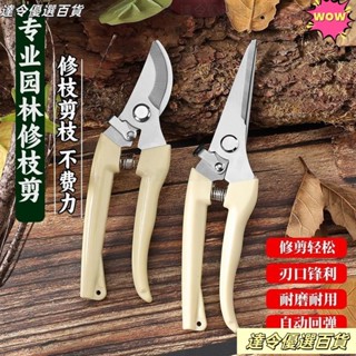 💕臺灣熱賣💕園藝剪修枝剪手工花藝剪子果樹枝條剪修花卉剪刀專用工具修枝神器