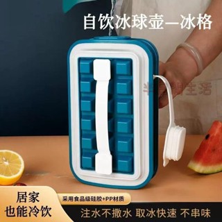 製冰模具 製冰盒 冰塊模 冰格球 冰塊球 冰塊模具 冰盒 冰球壺二合一冰格模具水壺製冰器儲存盒冰箱凍冰塊袋矽膠網紅神器