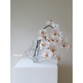 ★9RDG★高模擬 蝴蝶蘭奶咖色單枝假花 家居餐桌花藝攝影道具樣板房擺件