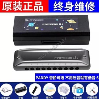 ProReeds十孔Paddy布魯斯藍調口琴 成人初學專業BM口琴 10孔Boogieman