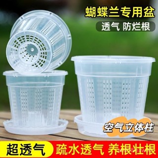 🔥桃園出貨-【1579人好評】蝴蝶蘭專用花盆空氣柱透明青山盆特大號大口徑塑膠圓形桌麵高花盆
