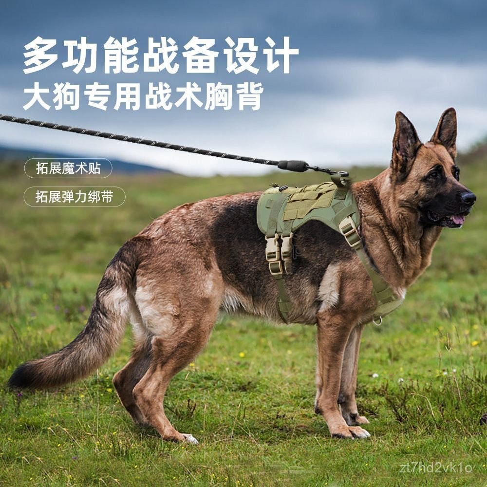 貓狗一家親💯狗狗胸背帶背心式牽引繩棘龍模型德牧啟懞早敎大型犬霸氣防脫外出 TLO3