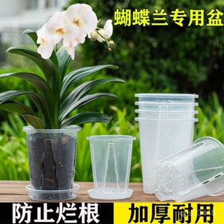 ✨桃園出貨/免運✨【992人收藏】苔蘚蝴蝶蘭專用花盆加厚耐用透明三代青山盆控根盆塑膠透明花盆 GXJS