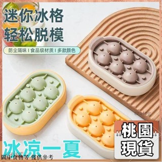 桃園出貨⚡️矽膠冰球模具家用冰箱製冰盒帶蓋球形凍冰塊模具食品級迷你小冰格夏季自製diy冰箱冷凍製冰機創意冰塊模具53