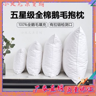 臺灣出貨✨白鵝毛抱枕芯羽絨羽毛靠墊酒店沙髮靠背腰墊辦公室大靠枕床頭靠墊 07YS