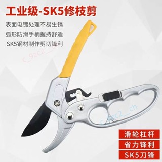 滑輪剪省力果枝剪 園藝剪刀 分段式 SK5粗枝剪 修枝剪 盆裁剪 果農剪 茶農剪 園林剪 樹枝剪刀 c_9zc2__ch