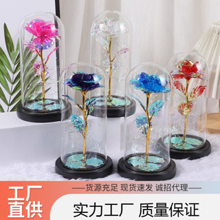 🔥臺灣出貨🔥玻璃燈罩永生花玫瑰花聖誕節仿真花金箔花七夕情人節禮物禮盒跨境 EXFY