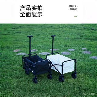 🚛免運下殺🚛運輸車 手拉車情侶款家用購物小推車露營車拉貨推車夜市賣花拉桿車超強承一車拉家用小推車拉貨車 輕便手推車