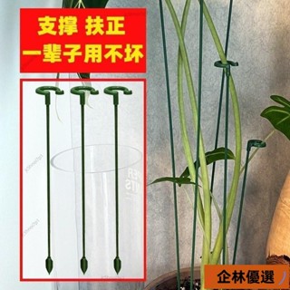 新店低價🔥F🔥-熱賣中🔥植物支撐架 盆栽支架 植物花架 植物支架 植物支撐桿 園藝支架 蘭花支架 花盆支撐架 葉架