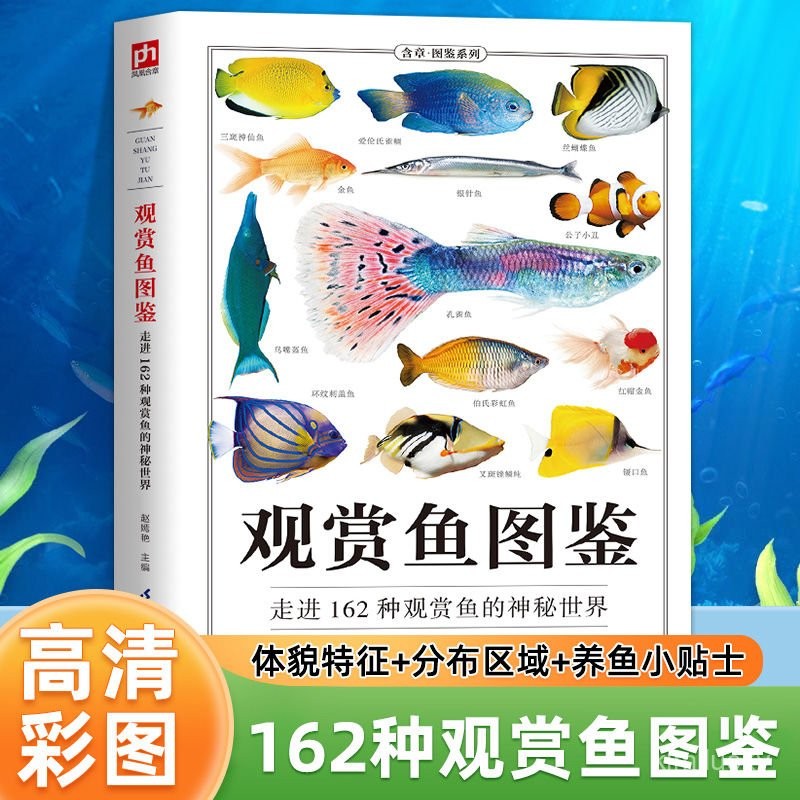 📣現24H出庫🔥【24小時髮貨】觀賞魚圖鑑自然科學讀物 海洋物養殖魚類科普百科全書圖鑑書籍【36H限時】
