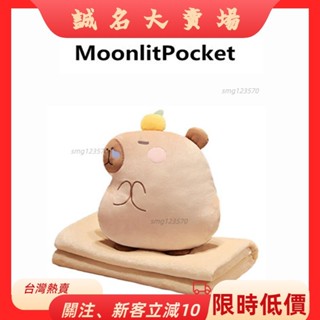 🎇桃園出貨+發票🎉卡皮巴拉辦公室抱枕被子兩用汽車靠枕摺疊毯子車用午睡枕頭二合一zyb