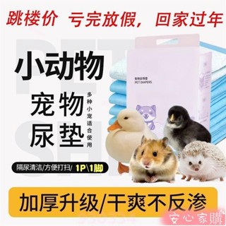 🤣🤣限時優惠🤣🤣 免運狗狗冬季保暖胡蘿蔔衣服泰迪比熊柯基博美小型犬貓咪服飾用品毛絨加厚禦寒護體貓咪衣服 馬甲