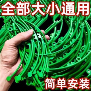 免運植物支架 植物支撐 植物支撐桿 盆栽支撐架 盆栽支架 爬藤支架 花盆支架 蘭花支架 園藝支架 種植蝴蝶蘭