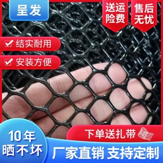 有貨在臺🚀99免運🚀黑色塑膠網格陽臺防護網封窗網防墜網養殖育雛養鷄鴨隔離網腳墊網