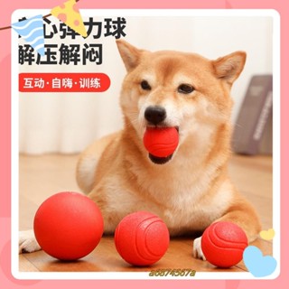 寵物優選 寵愛😺寵物 狗狗玩具 實心橡膠彈力球 狗狗玩具球 狗狗耐咬磨牙球 寵物訓練球 訓狗球 寵物玩具球 橡膠彈力球