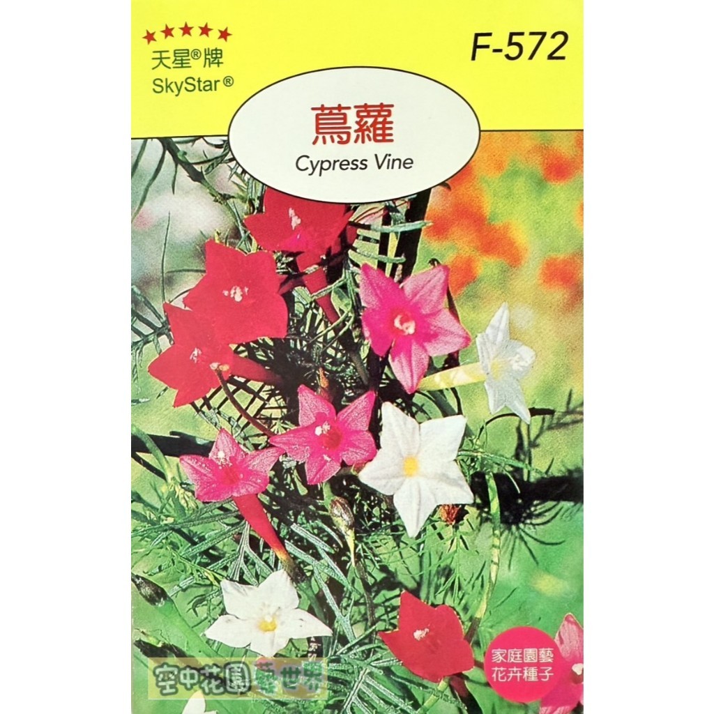 【台灣出貨 電子發票】蔦蘿 種子 菜籽 花卉 花香 插花 切花 新娘花 家庭園藝 天星牌 空中花園藝世界 F-572