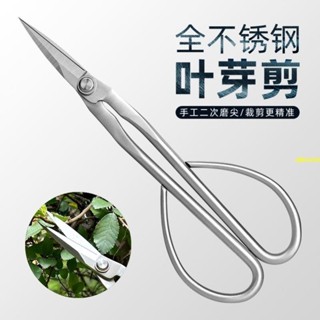 ⚡出貨全不鏽鋼園藝剪葉芽剪嫩芽剪刀插花盆景枝葉剪修枝小枝剪加厚長杆