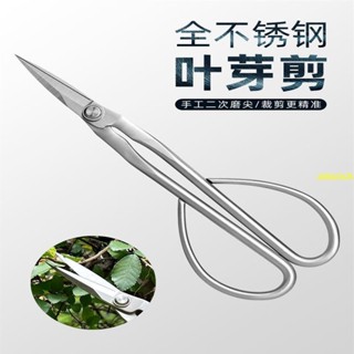 ⚡出貨全不鏽鋼園藝剪葉芽剪嫩芽剪刀插花盆景枝葉剪修枝小枝剪加厚長杆