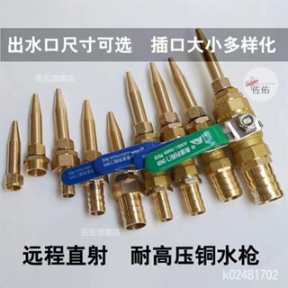 🔥限時下殺 可調節耐高壓銅水槍頭 高壓水槍 家用洗車水槍頭 全銅直線水槍 高壓噴頭 豬圈沖洗噴槍 養豬場裝置家用噴槍