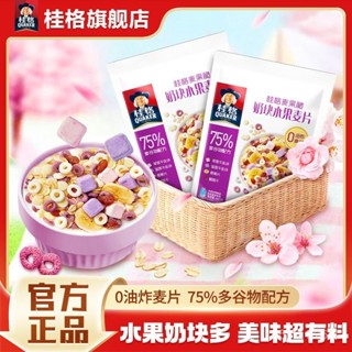 桂格 奶塊水果麥片 480g穀物麥片 早餐幹吃零食