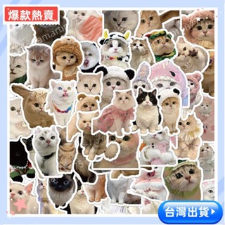 🔥爆款熱賣🔥60 件裝可愛小貓貓 MEME 防水貼紙筆記本筆記本電腦頭盔貼花學生 DIY 材料貼紙學校用品355