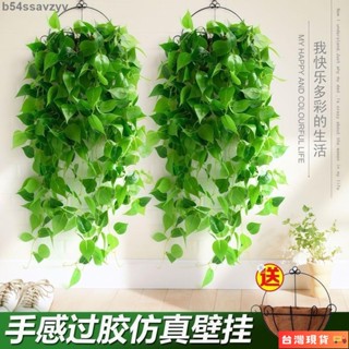 🌺臺灣限時低價🌺模擬綠蘿植物假綠葉吊蘭裝飾壁掛藤條葉子塑膠室內吊籃掛墻假花藤