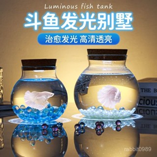 魚缸👉鬥魚缸 桌麵小型魚缸 防爆玻璃水族箱 水族箱 超白玻璃魚缸 辦公室桌麵小魚缸 免換水懶人魚缸