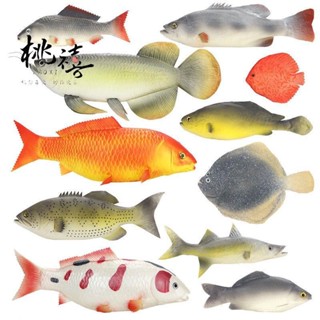 『臺灣 好物精選』模擬魚模型熱帶魚假紅灰鯉魚鯽魚扁魚玩具金槍魚海洋動物裝飾道具