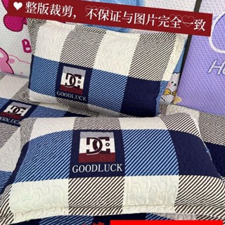 全店特價 高品質 🛒【30天熱銷2166件】枕頭套四季通用耐臟家用雙層加厚枕套一對裝 琪妙精品