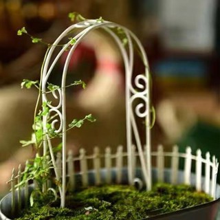 【限時特惠】【1351人好評】園藝山烏龜鐵線蓮拱形拱門花架爬藤架攀爬植物小支架桿盆栽微景觀 盆栽裝飾