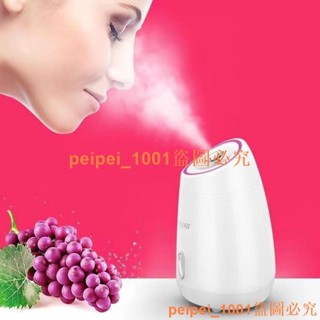 低價促銷~~熱噴 蒸臉 器果蔬 補水 家用噴霧 110V臺灣用 開啟毛孔 保溼美容 臉部噴霧機