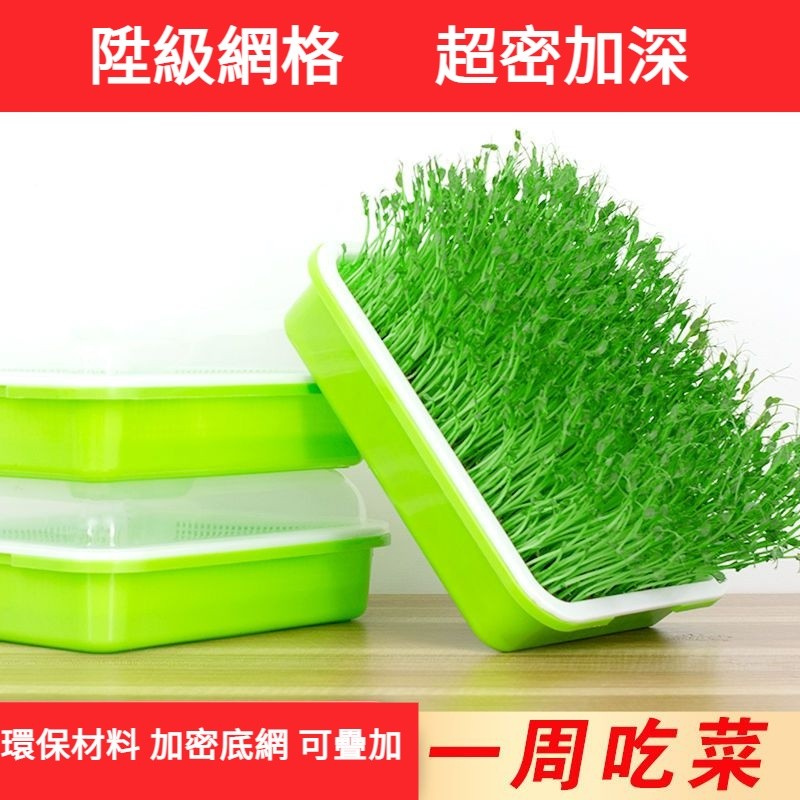 ✨台灣發貨+統編✨水耕盆 貓草盒 小麥草 豆苗盆 水盤 盆栽 種植盆 無土栽培 水培豆芽盤 水耕苜蓿芽 水種芽菜 豆芽盤