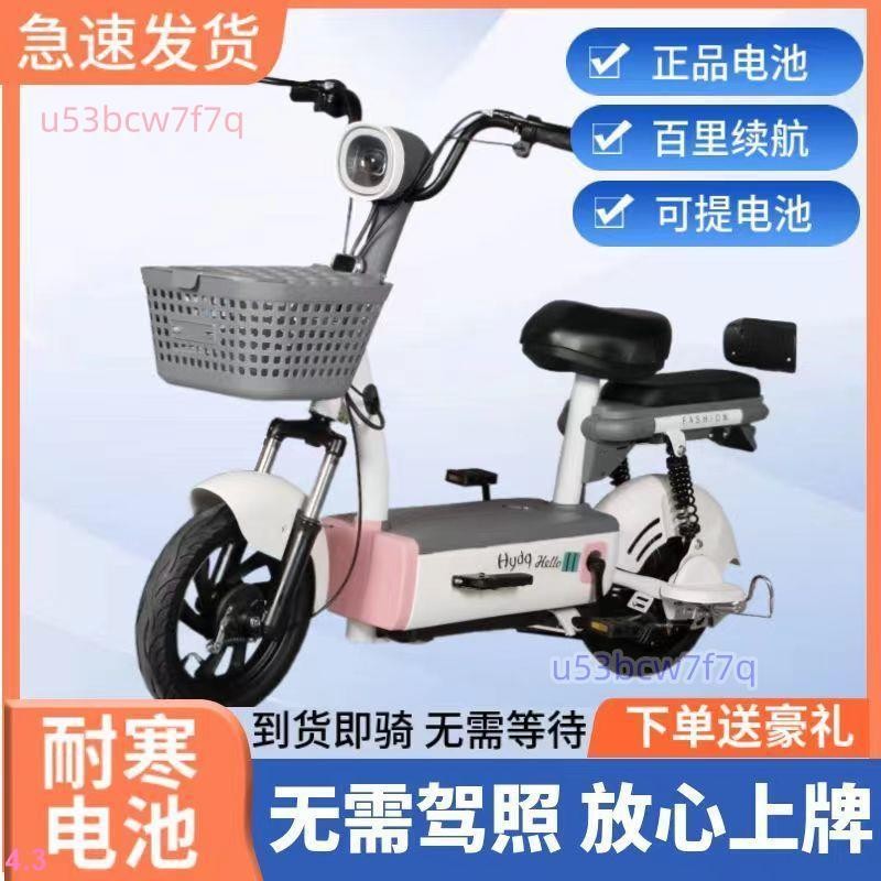 2024新款國標電動車成兩輪電動自行車電瓶車小型代步車