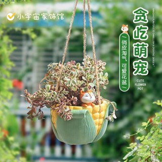 通狐狸 盆栽掛件 微景觀 多肉植物 園藝裝飾 樹脂工藝品擺件 園藝裝飾擺件 造景擺件 創意擺件 庭院微景觀擺件 戶外裝飾