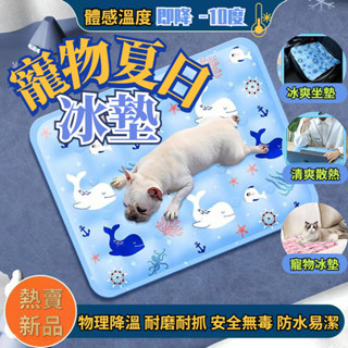 【臺灣發貨】寵物涼墊 多功能冰墊 坐墊 涼感墊 冰墊 椅墊 散熱墊 消暑 涼墊 涼枕 冷凝墊 寵物墊 寵物散熱 降溫冰涼