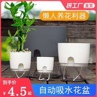 桃園快速🚚 懶人 自動吸水 花盆 清倉 塑膠 簡約 仿陶瓷 室內水培 專用花盆