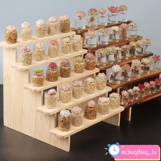 D！實木展示架飾品桌麵收納手辦泡泡瑪特 公仔展示架玩偶多肉綠植階梯架子