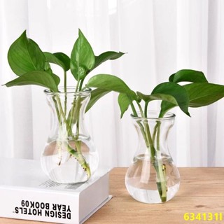 林小店臺灣現/貨✨水培銅錢草專用簡約水培植物花瓶透明玻璃花盆水養綠蘿 風信子 觀音竹桌面插花瓶