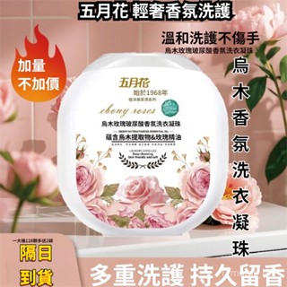 有貨在臺🚀99免運🚀五月花【烏木玫瑰洗衣膠囊】烏木香氛洗衣凝珠 香水洗衣精去汙去漬持久留香衣物清潔劑