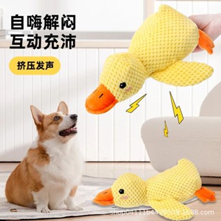 狗狗毛絨寵物玩具 耐咬陪睡髮聲小狗解悶神器狗子磨牙寵物用品 絨玩具 發聲玩具 啃咬玩具 狗狗玩具