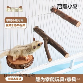 蜜袋鼯玩具 🔥小寵玩具🔥 攀爬玩具繩 懸掛玩具 吊床玩具 蜜袋鼯爬繩 寵物鞦韆蜜袋鼯跳臺倉鼠玩具蘋果木樹枝樓梯龍貓磨