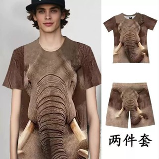 💥臺灣倉庫出貨💥 2025新款情侶搞笑T恤衫短袖3D大象短褲T恤滿印老虎短褲短袖套裝