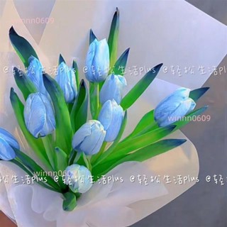 母親節禮物 母親節花束 520禮物 乾燥花束 畢業禮物 ins少女心藍色鬱金香仿真花高檔假花野餐拍照道具母親節禮物裝飾