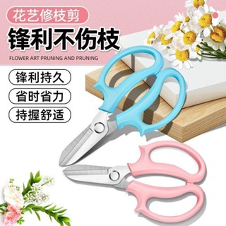 園藝用品 修剪工具 手動精修 【店鋪熱銷】韓式加厚入門花藝剪不銹鋼修枝剪花店鮮花剪園林盆景樹枝剪玫瑰剪