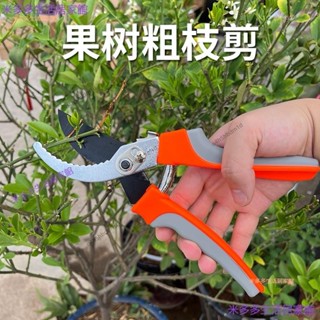 桃園發貨+統編🔧綸輪 園藝剪刀剪花枝修剪樹枝剪刀果枝剪修花剪刀修枝剪刀