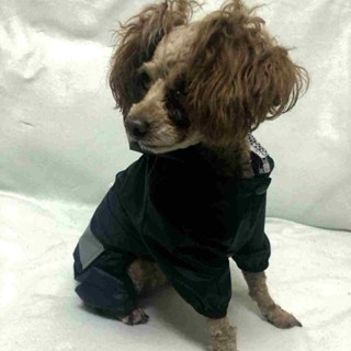 小狗連體防水雨衣寵物雙層夜間反光戶外小型犬專用 寵物衣服 寵物外出用品 狗狗雨衣 寵物外出雨衣 小型犬雨衣 中型犬雨衣