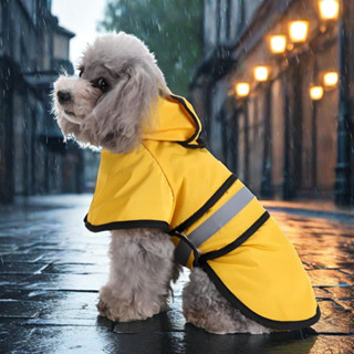 狗狗雨衣阿拉斯加雨具泰迪狗狗防雨衣服金毛寵物雨披 寵物衣服 寵物外出用品 狗狗雨衣 寵物外出雨衣 小型犬雨衣 中型犬雨衣