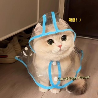 寵物貓咪狗狗雨衣戶外防水全包雨小披風遛彎防水服透明斗篷帶帽子 寵物衣服 寵物外出用品 狗狗雨衣 寵物外出雨衣 小型犬雨衣