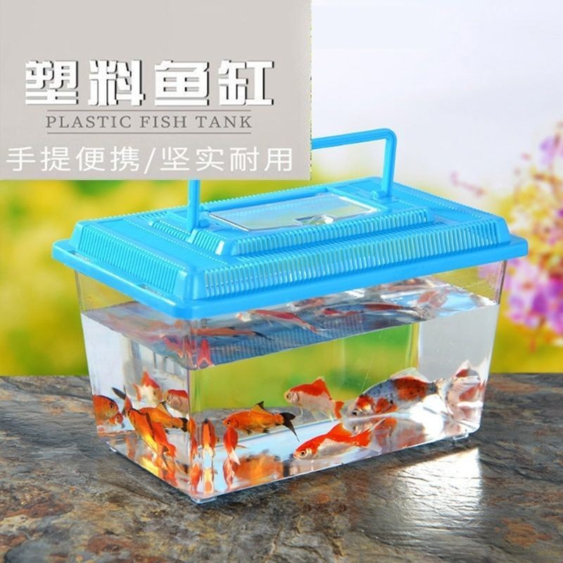 🔥臺灣爆火🔥 大中小號手提透明小魚缸飼養盒 運輸魚 龜盒塑料金魚缸烏龜缸封閉式